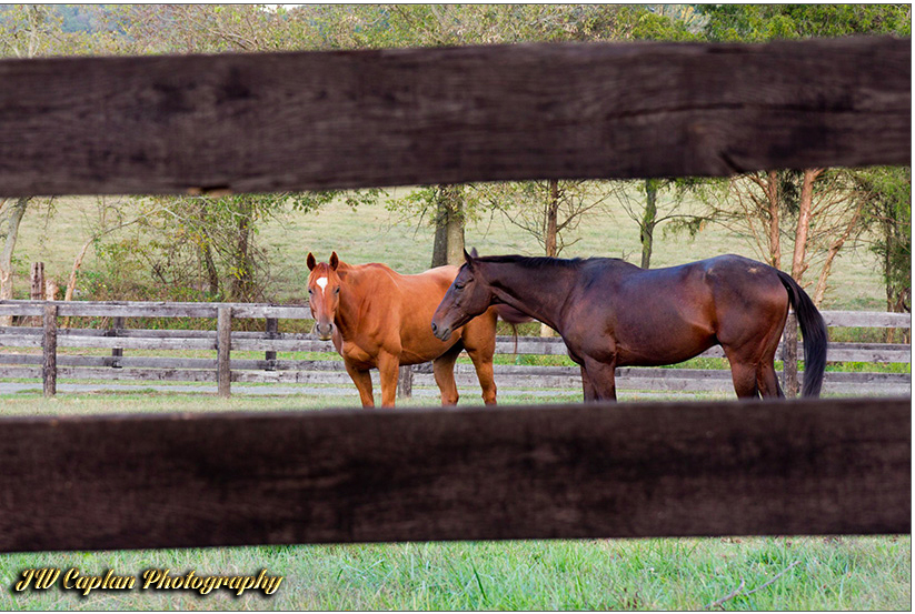 Logo Design by kaylan conklin for JW Caplan Photography | Design #2226359