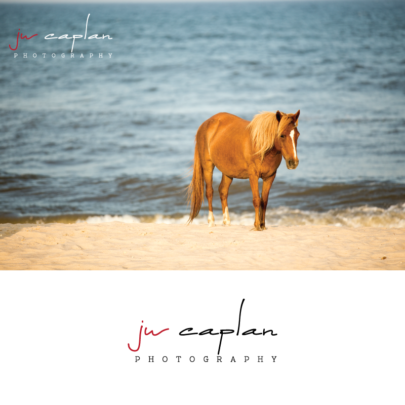 Logo Design by DicéArt for JW Caplan Photography | Design #2312396