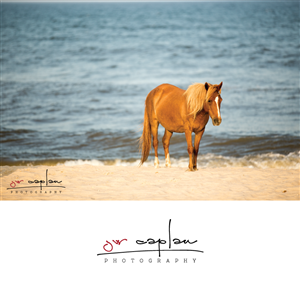 Logo Design by DicéArt for JW Caplan Photography | Design #2312645
