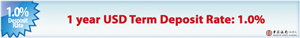 Banner Ad Design by Kamillea