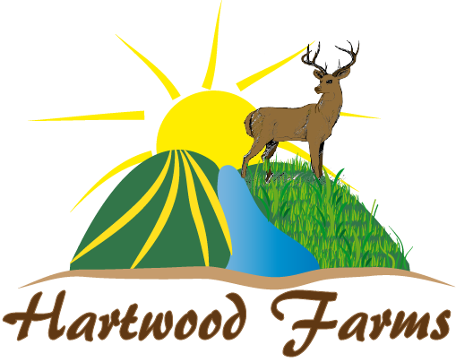 Logo Design by nna for this project | Design #2219678