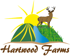 Logo Design by nna
