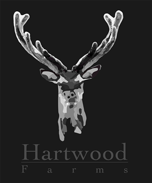 Logo Design by nicddd