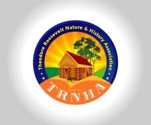 Logo Design by dshineart