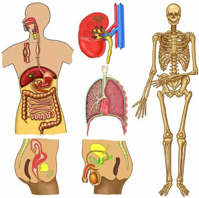 CD Cover Design by WendieB illustration & Design for this project | Design #467627