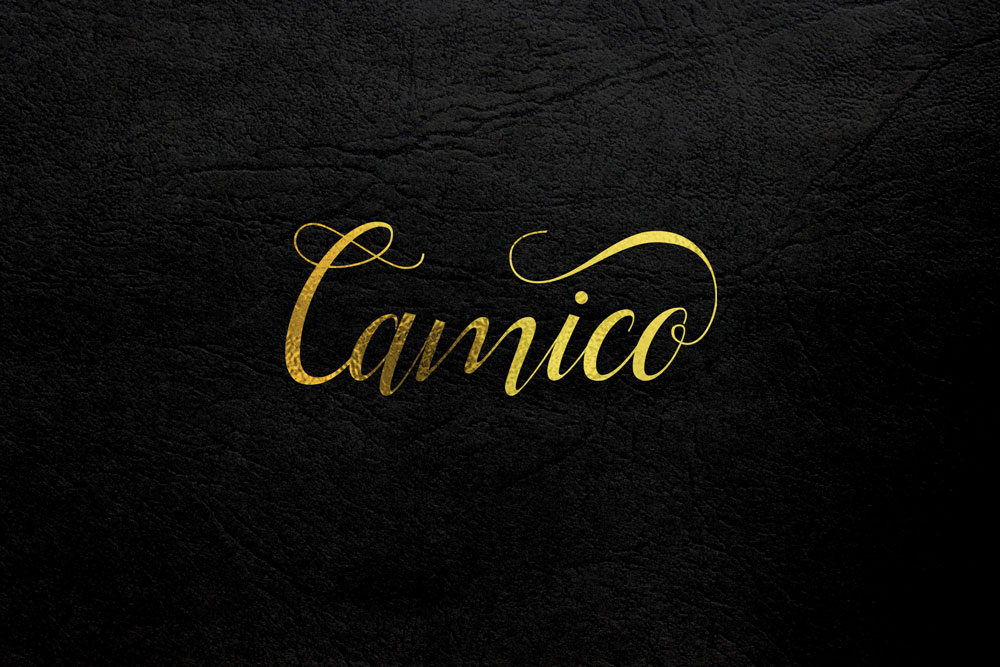 Design de Logo par site pour camico | Design #10606117