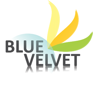 Logo Design by antipopdlll for this project | Design: #462834