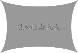 Logo Design by R0B!N H00D