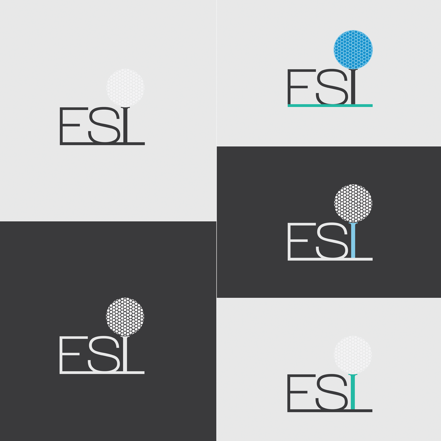 Logo Design by AM Designs for Evans Senior Investments (ESI) | Design #10729138