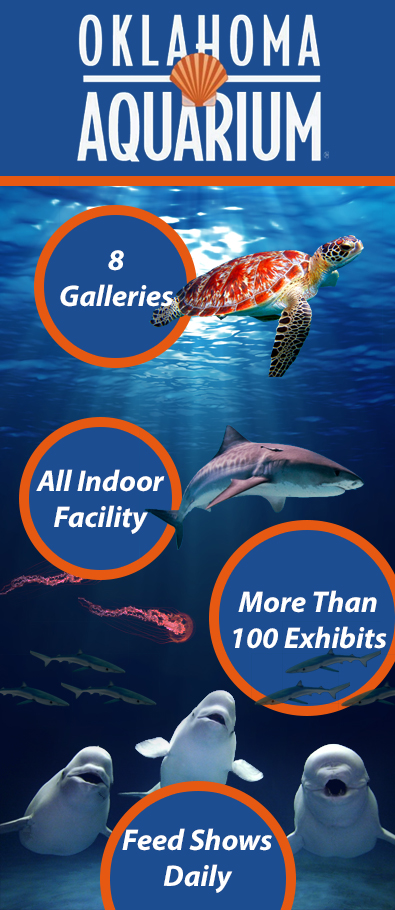 Graphic Design by Lilu Design for Oklahoma Aquarium | Design #10670297