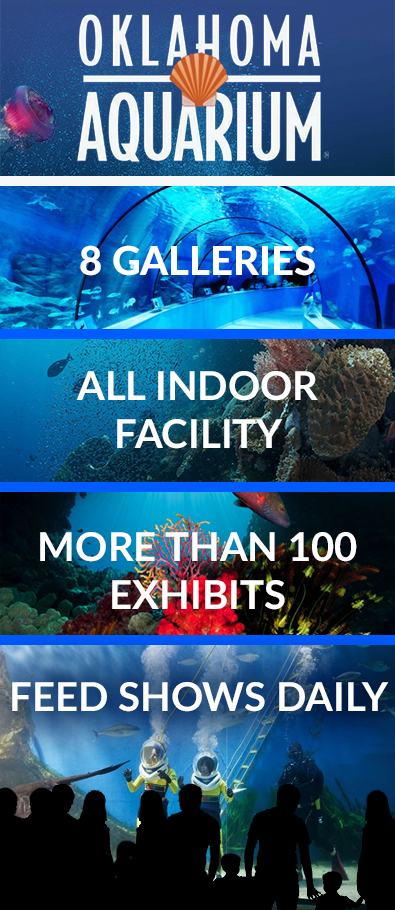 Graphic Design by Lilu Design for Oklahoma Aquarium | Design #10670615