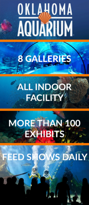 Graphic Design by Lilu Design for Oklahoma Aquarium | Design: #10670617