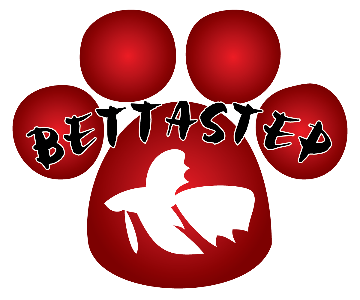 Logo Design by Danny Ng for BettaStep | Design #2235426