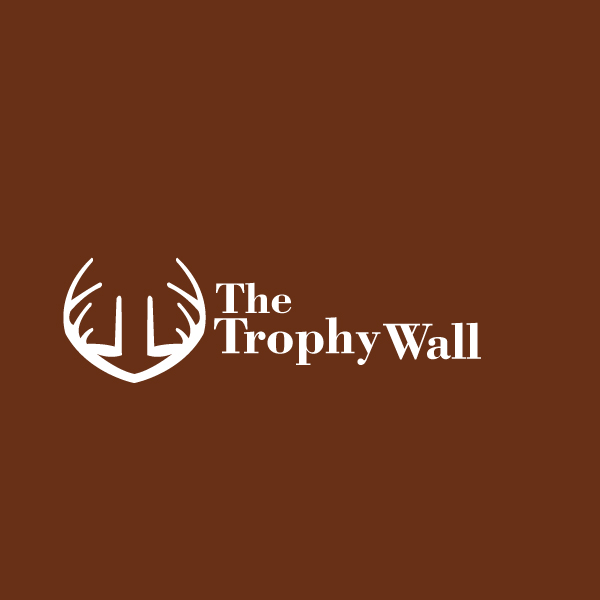 Logo Design by Himanshi10 for this project | Design #10627089