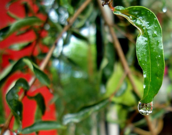 Photography by eema.naqvi for DesignCrowd (Community Contests) | Design #10616384