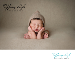 Design de Logo par Admira Graphics pour Tiffany Leigh Photography | Design #10630689