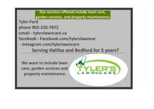 Business Card Design by designerone for Tyler's Lawn Care | Design #10612769