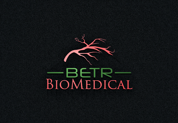 Diseño de Logo por EGYPT KING para este proyecto | Diseño #10697247