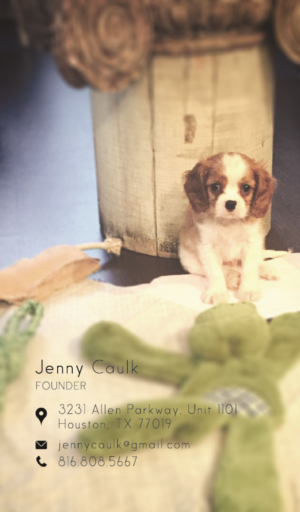 Business Card Design by sonawallaa for this project | Design: #10622654