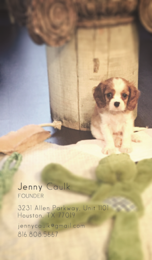 Business Card Design by sonawallaa for this project | Design: #10622655