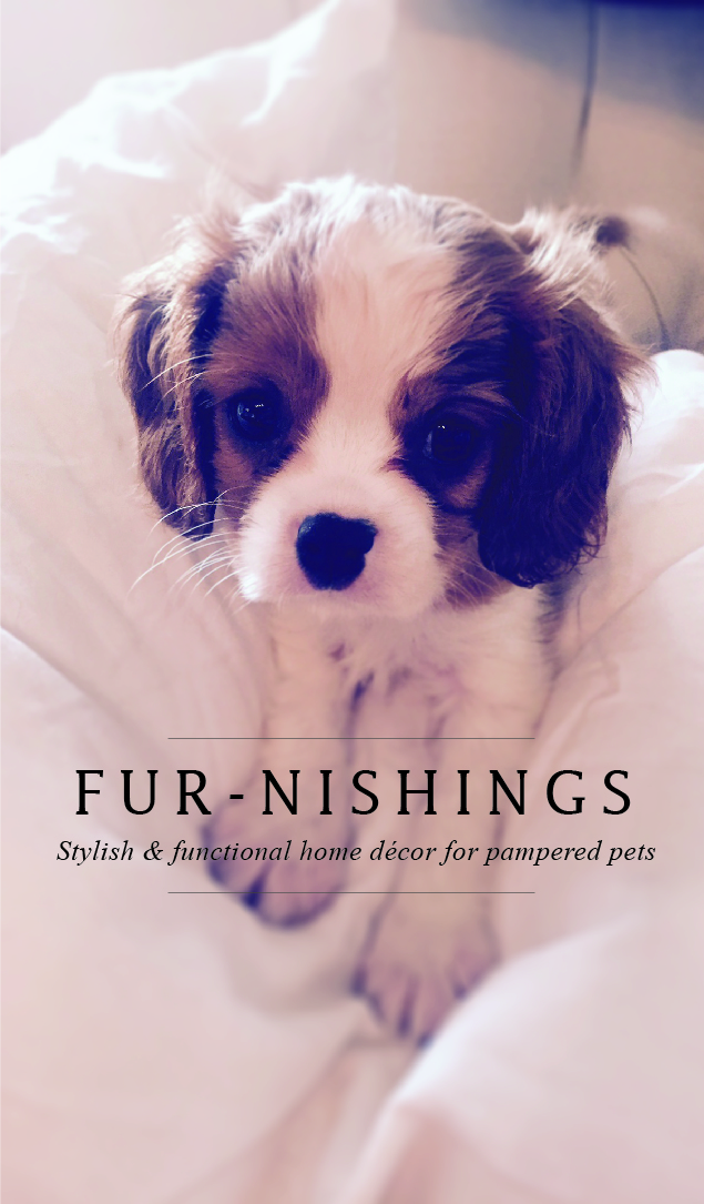 Design de Carte de Visite par sonawallaa pour ce projet | Design #10622656