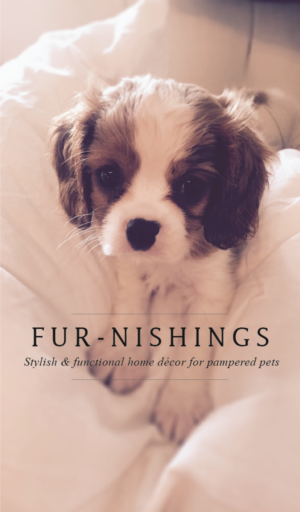 Business Card Design by sonawallaa for this project | Design: #10622656