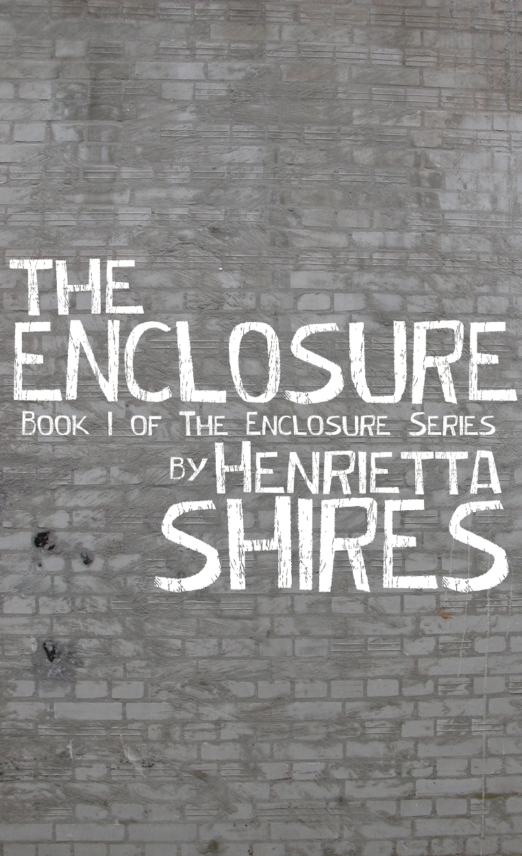 eBook Cover Design by goldspeak for this project | Design #2274796