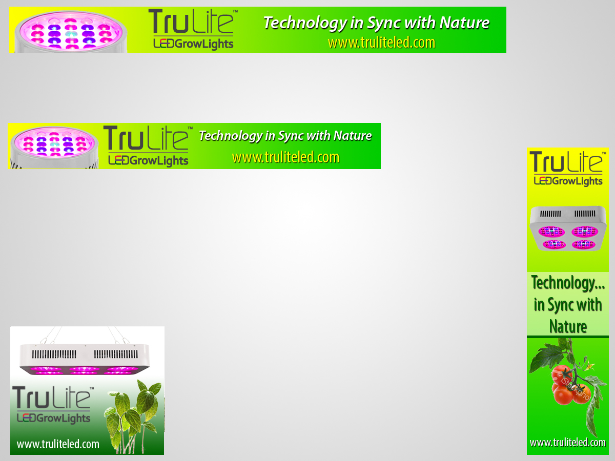 Banner Ad Design by Kings Bishop Design for ViSiON Global | Design #2272029