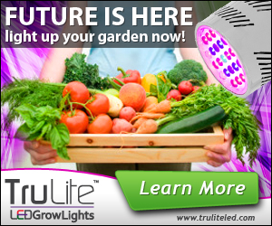 Banner Ad Design by neboica for ViSiON Global | Design: #2228199