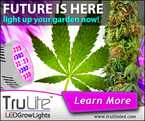 Banner Ad Design by neboica for ViSiON Global | Design: #2228200