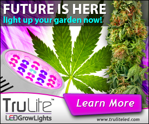 Banner Ad Design by neboica for ViSiON Global | Design: #2228209