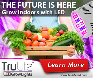 Banner Ad Design by neboica for ViSiON Global | Design: #2233078