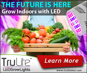 Banner Ad Design by neboica for ViSiON Global | Design: #2233085