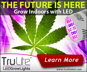 Banner Ad Design by neboica for ViSiON Global | Design #2233104