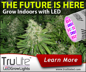 Banner Ad Design by neboica for ViSiON Global | Design #2233113