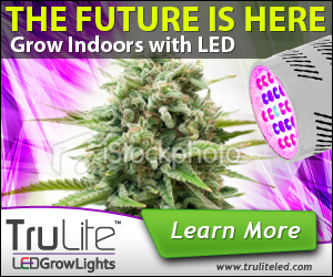 Banner Ad Design by neboica for ViSiON Global | Design: #2233138