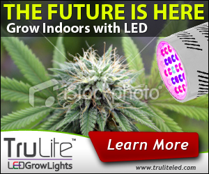 Banner Ad Design by neboica for ViSiON Global | Design: #2233143