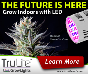 Banner Ad Design by neboica for ViSiON Global | Design #2233166