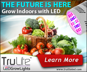 Banner Ad Design by neboica for ViSiON Global | Design #2233185