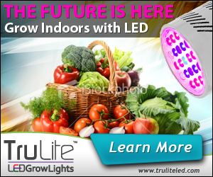 Banner Ad Design by neboica for ViSiON Global | Design #2233188