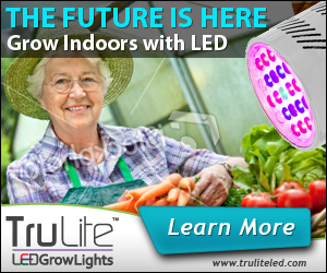 Banner Ad Design by neboica for ViSiON Global | Design: #2233202