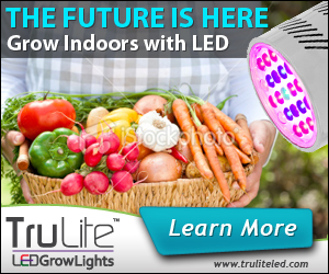 Banner Ad Design by neboica for ViSiON Global | Design #2233220