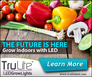 Banner Ad Design by neboica for ViSiON Global | Design #2233246