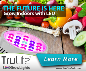 Banner Ad Design by neboica for ViSiON Global | Design: #2233258