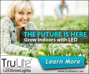 Banner Ad Design by neboica for ViSiON Global | Design #2233291