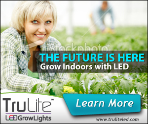 Banner Ad Design by neboica for ViSiON Global | Design: #2233291