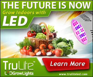 Banner Ad Design by neboica for ViSiON Global | Design: #2233652