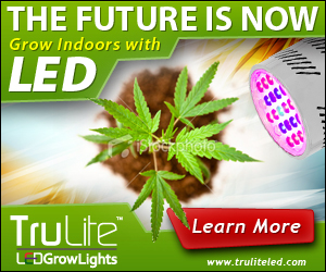 Banner Ad Design by neboica for ViSiON Global | Design: #2233659