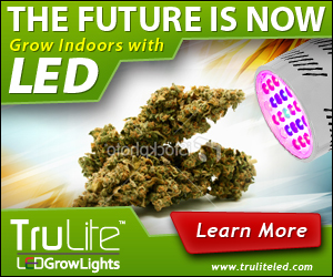 Banner Ad Design by neboica for ViSiON Global | Design: #2233660