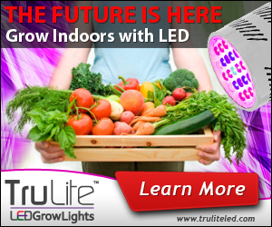 Banner Ad Design by neboica for ViSiON Global | Design #2240052